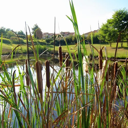 Cozy In Roussines, Dordogne Roussines