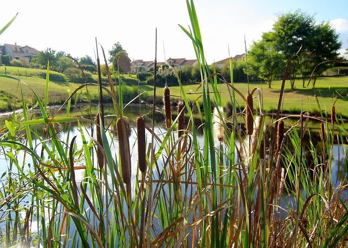 Cozy In Roussines, Dordogne Roussines