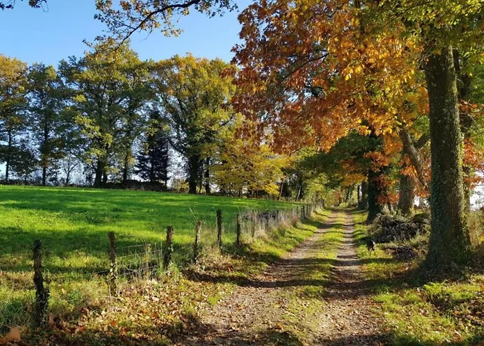 Cozy In Roussines, Dordogne *