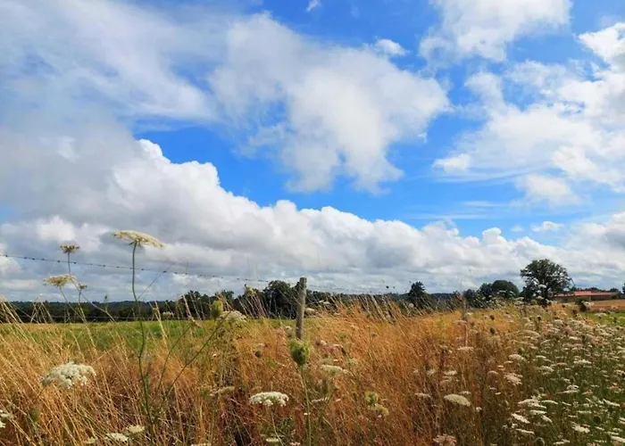 Cozy In Roussines, Dordogne Roussines