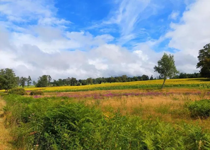 Сasa de vacaciones Cozy In Roussines, Dordogne Roussines